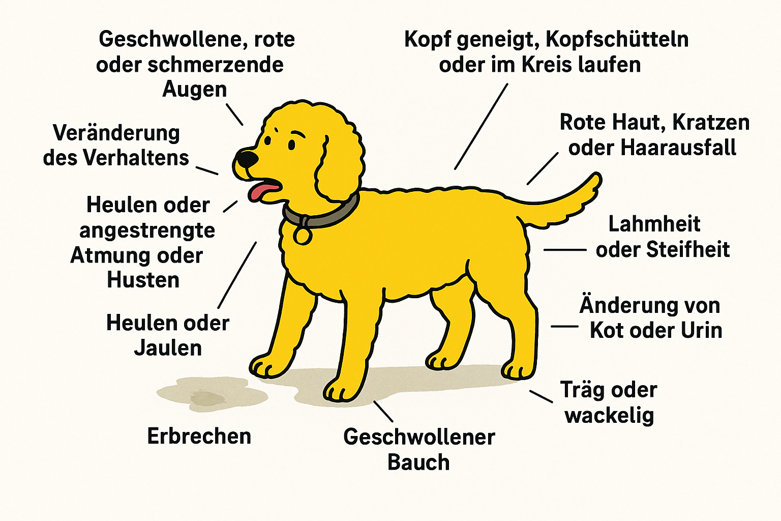 Hunde streicheln
