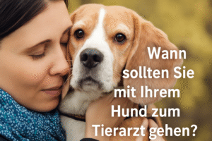 Wann sollten Sie mit Ihrem Hund zum Tierarzt gehen?