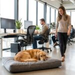 Hund ins Büro mitnehmen